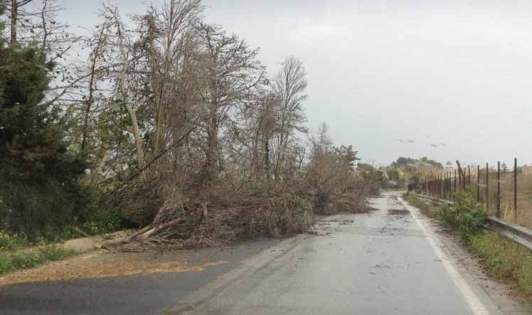 Borgomanero e Orta, raffiche di vento fanno crollare piante e ponteggi