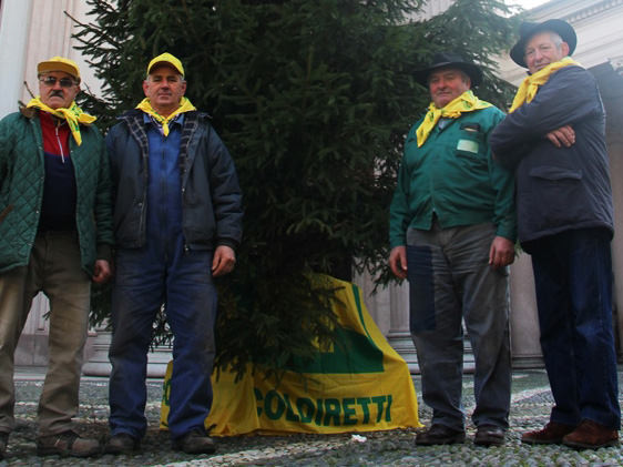 In Duomo albero di Natale donato da Federpensionati Coldiretti di Novara-Vco