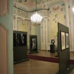 Scorcio della mostra di Trecate