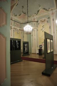 Scorcio della mostra di Trecate
