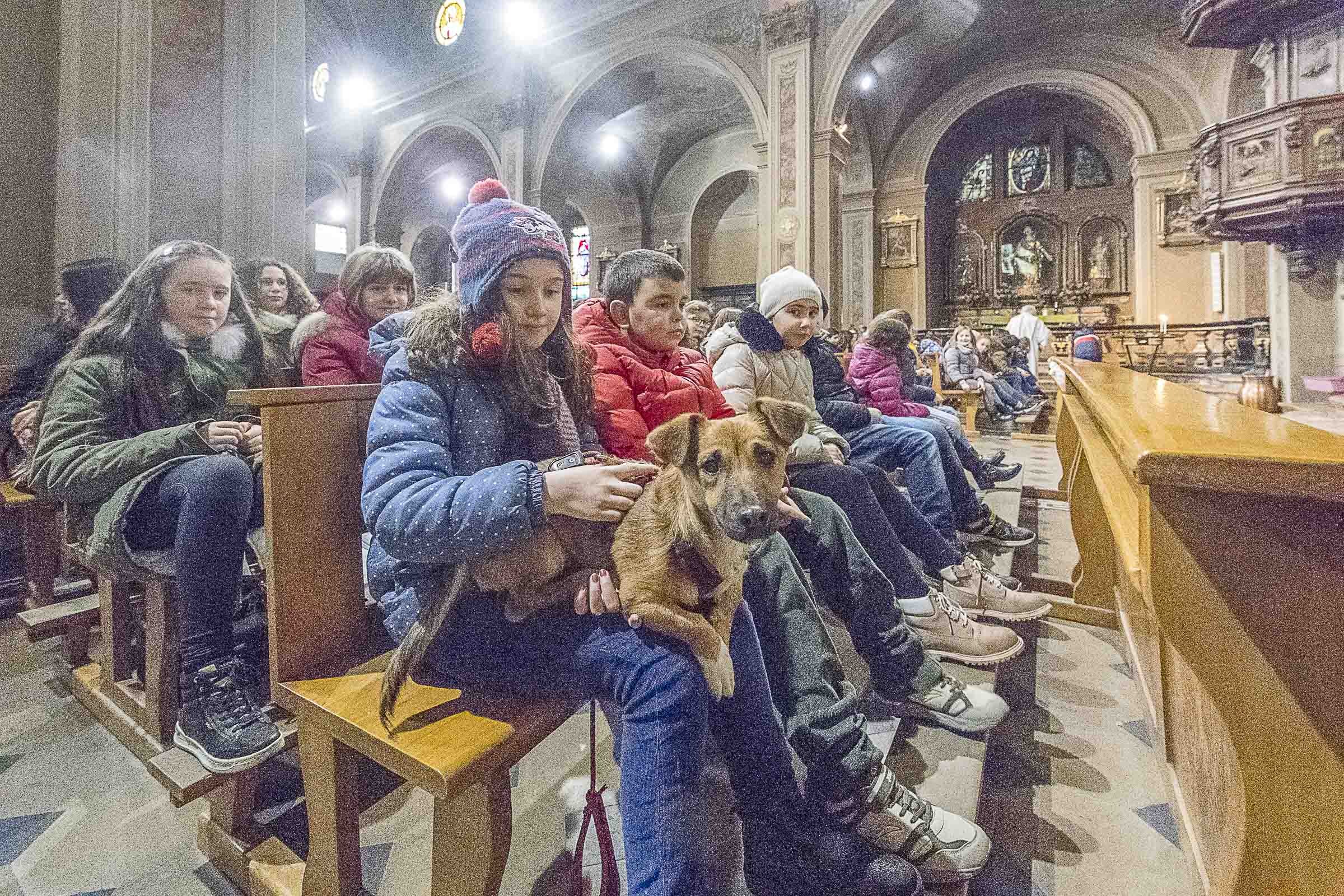 Festa di San’Antonio a Vespolate [Galleria foto]