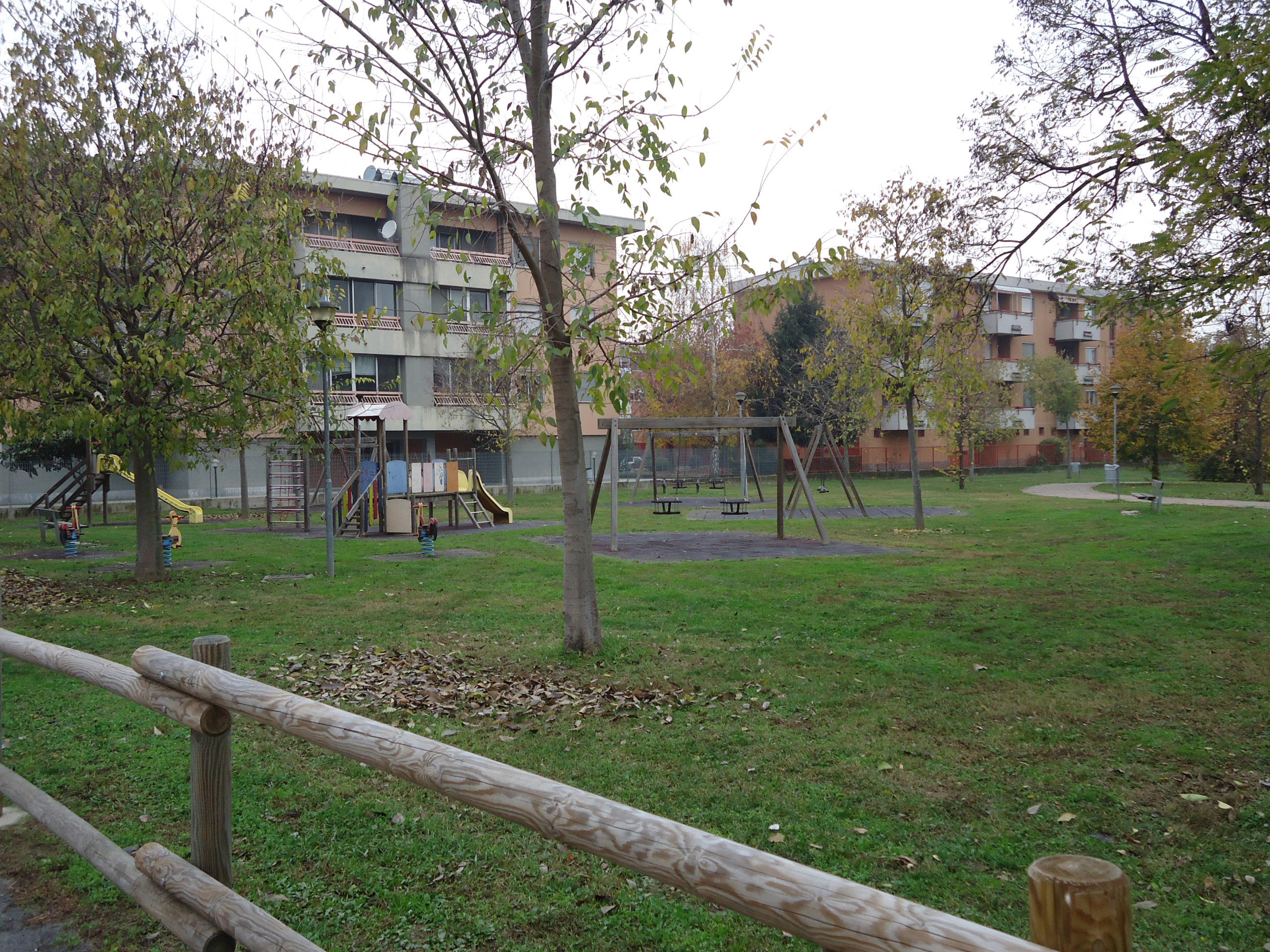 Verde pubblico a Novara: per migliorarlo il Comune chiama l’Assa