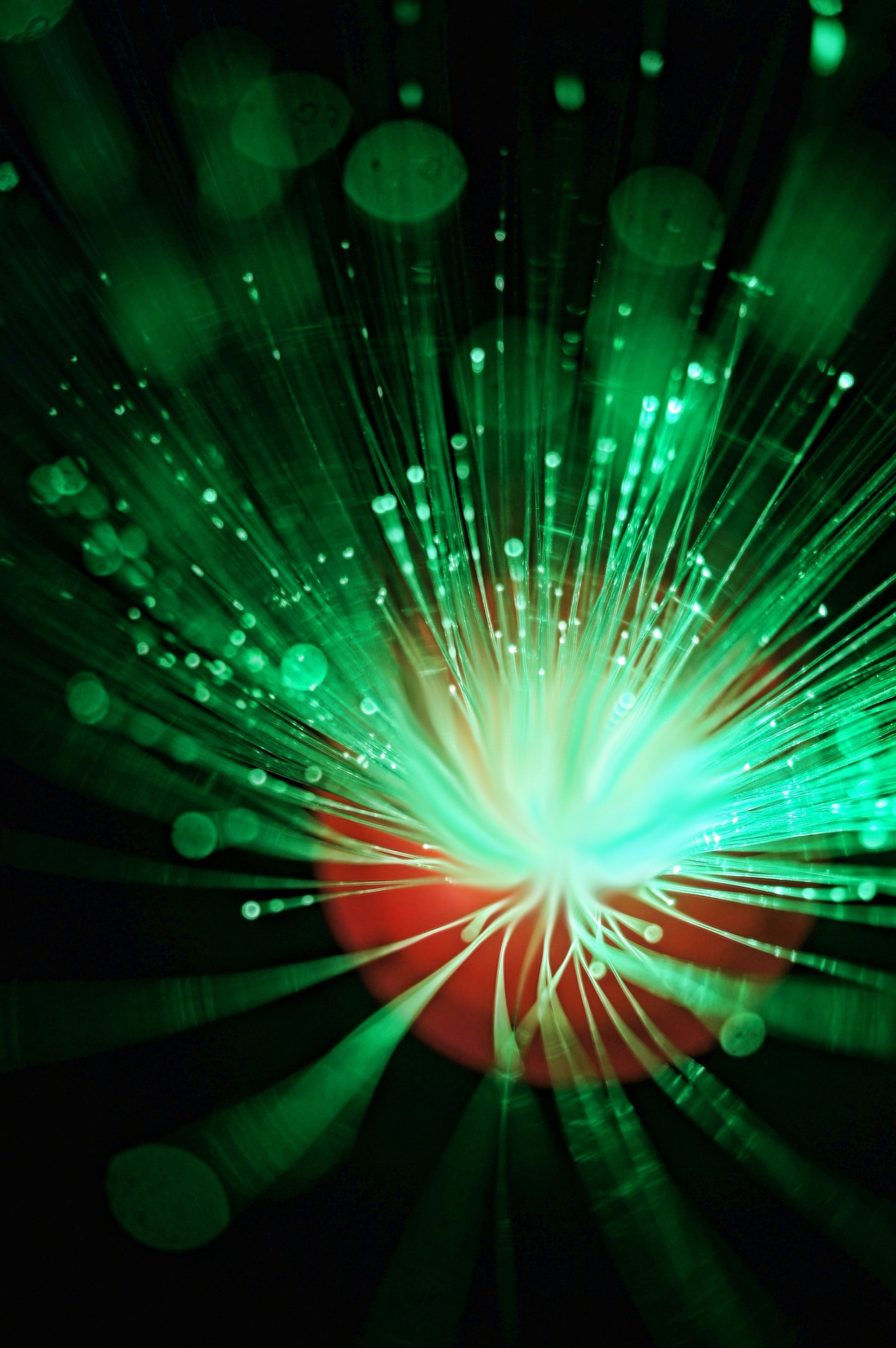 Internet veloce per tutto il Novarese entro il 2020