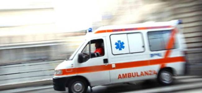 Prato Sesia, lepre causa incidente