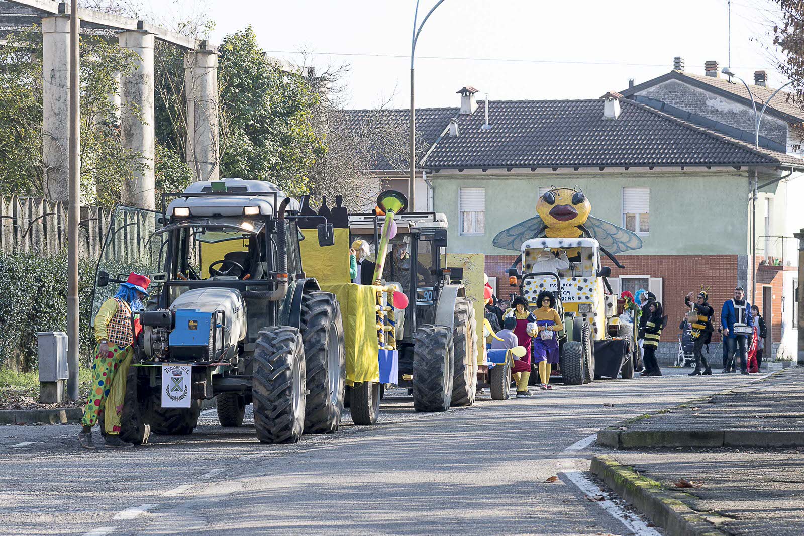 Carnevale Bassa Novarese Bassa Novarese nella Bassa