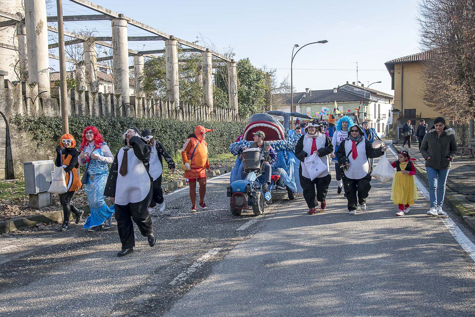 Carnevale Bassa Novarese Bassa Novarese nella Bassa