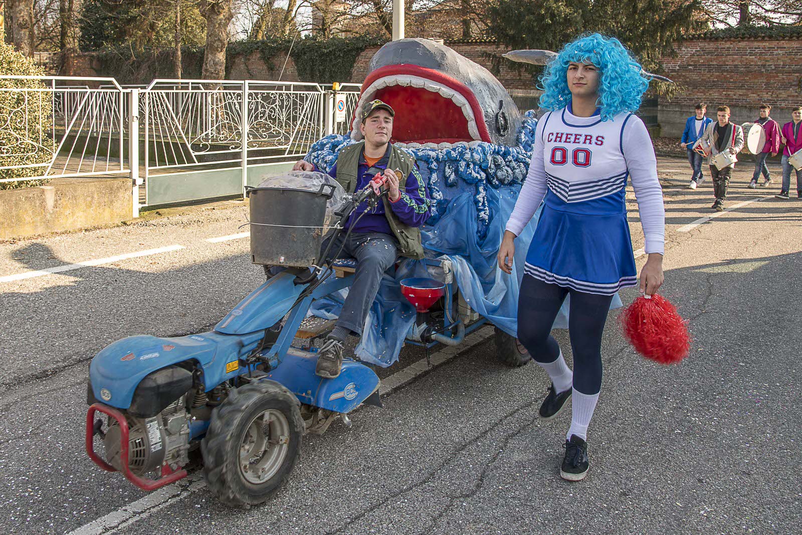 Carnevale Bassa Novarese Bassa Novarese nella Bassa