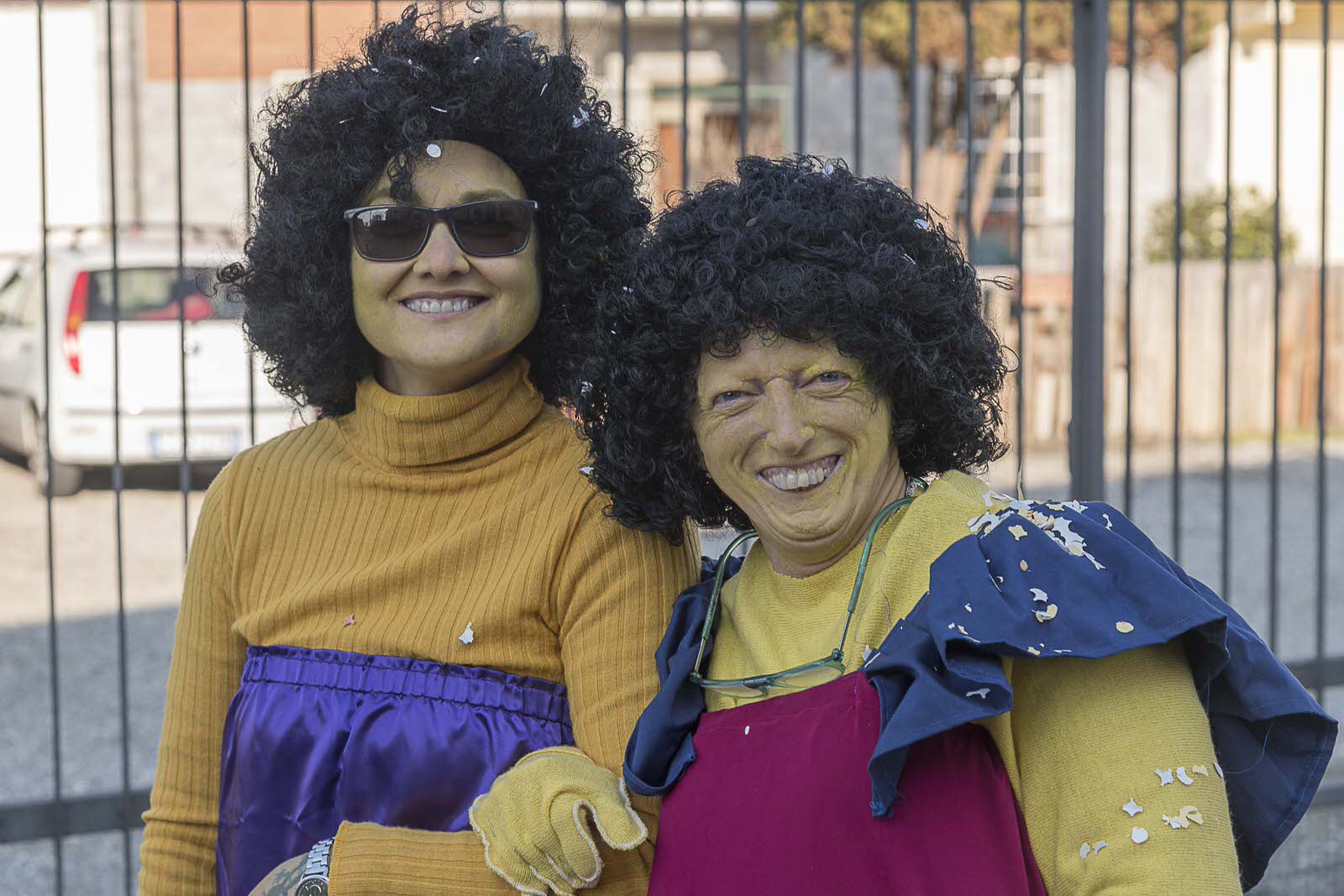 Carnevale Bassa Novarese Bassa Novarese nella Bassa