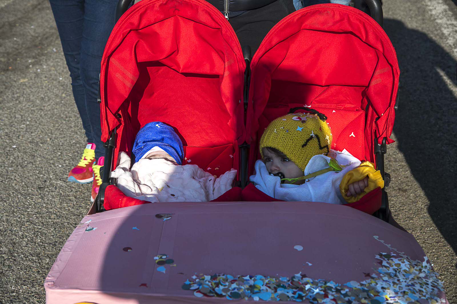 Carnevale Bassa Novarese Bassa Novarese nella Bassa