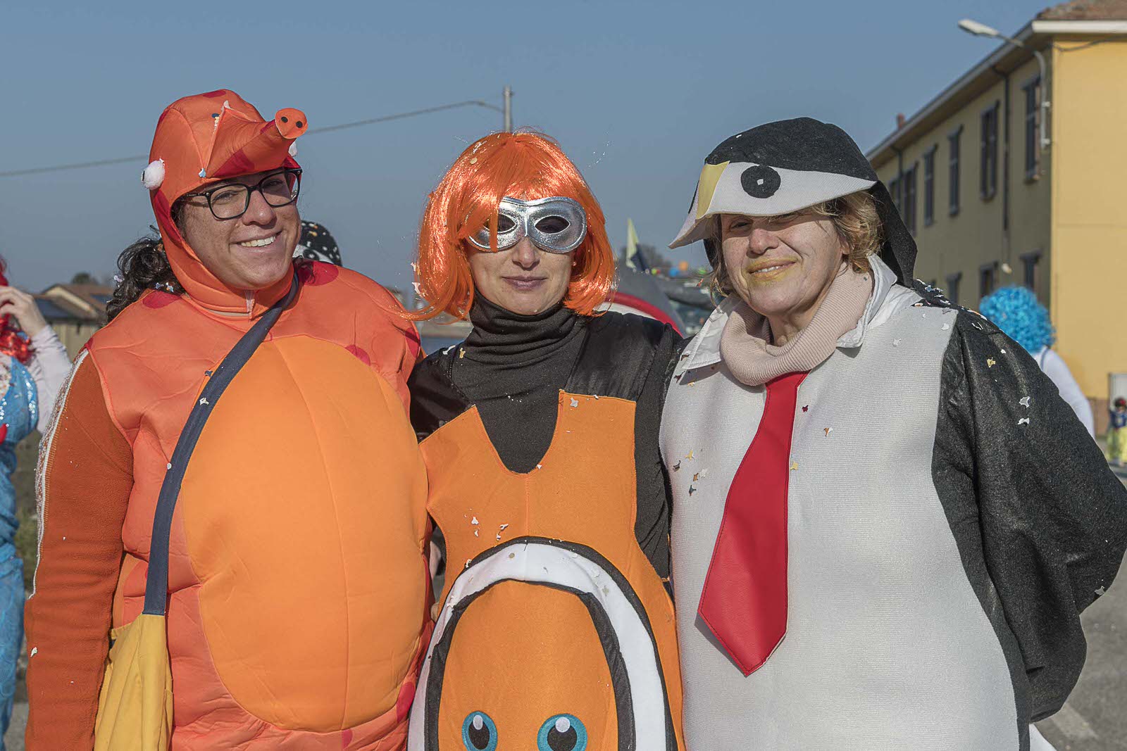 Carnevale Bassa Novarese Bassa Novarese nella Bassa