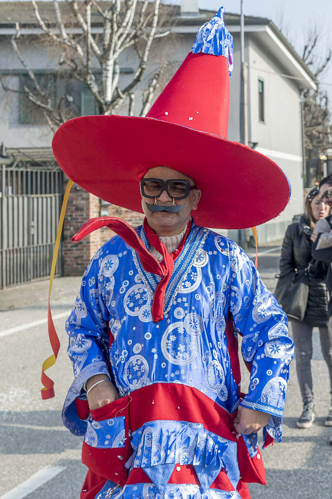 Carnevale Bassa Novarese Bassa Novarese nella Bassa
