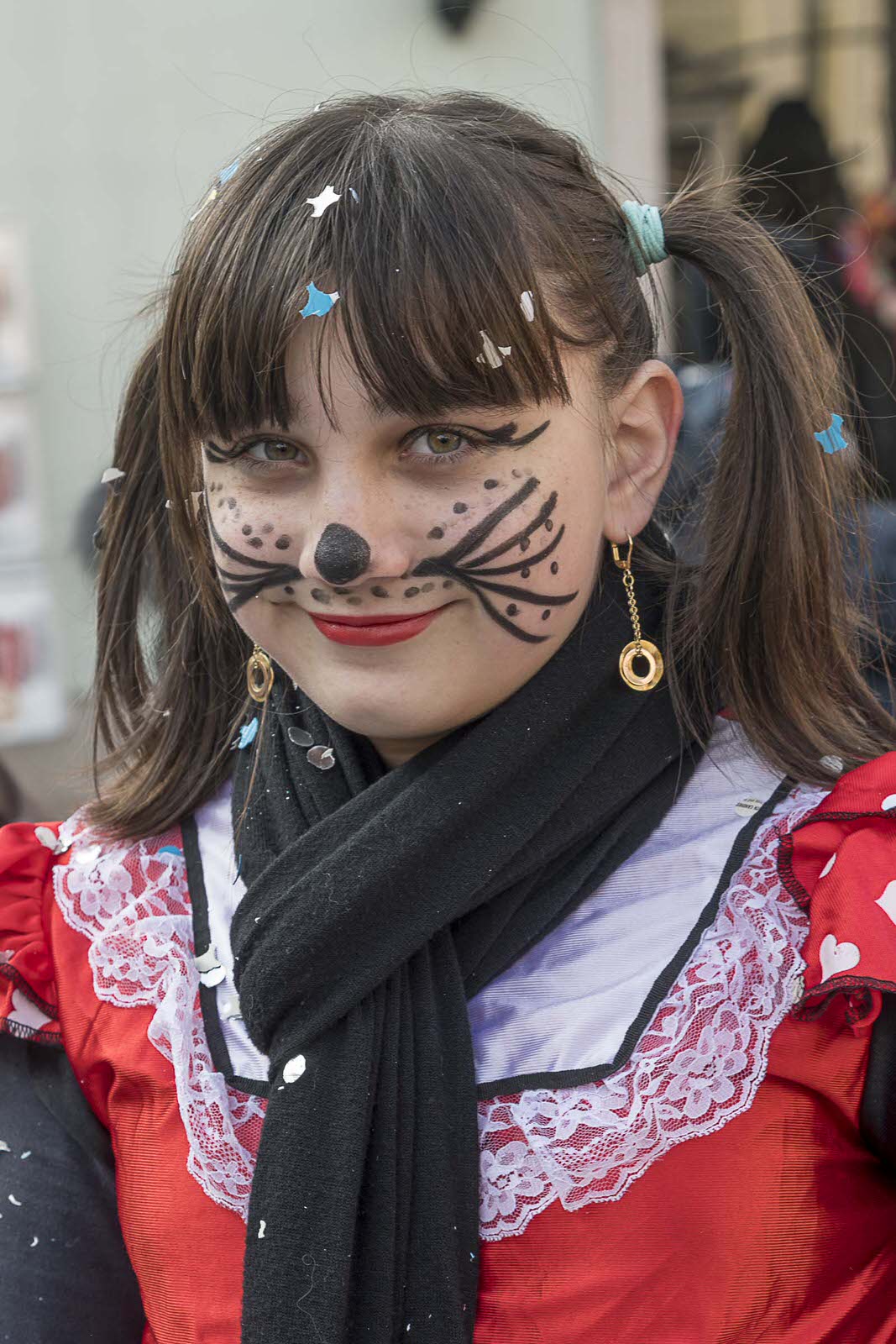 Carnevale Bassa Novarese Bassa Novarese nella Bassa