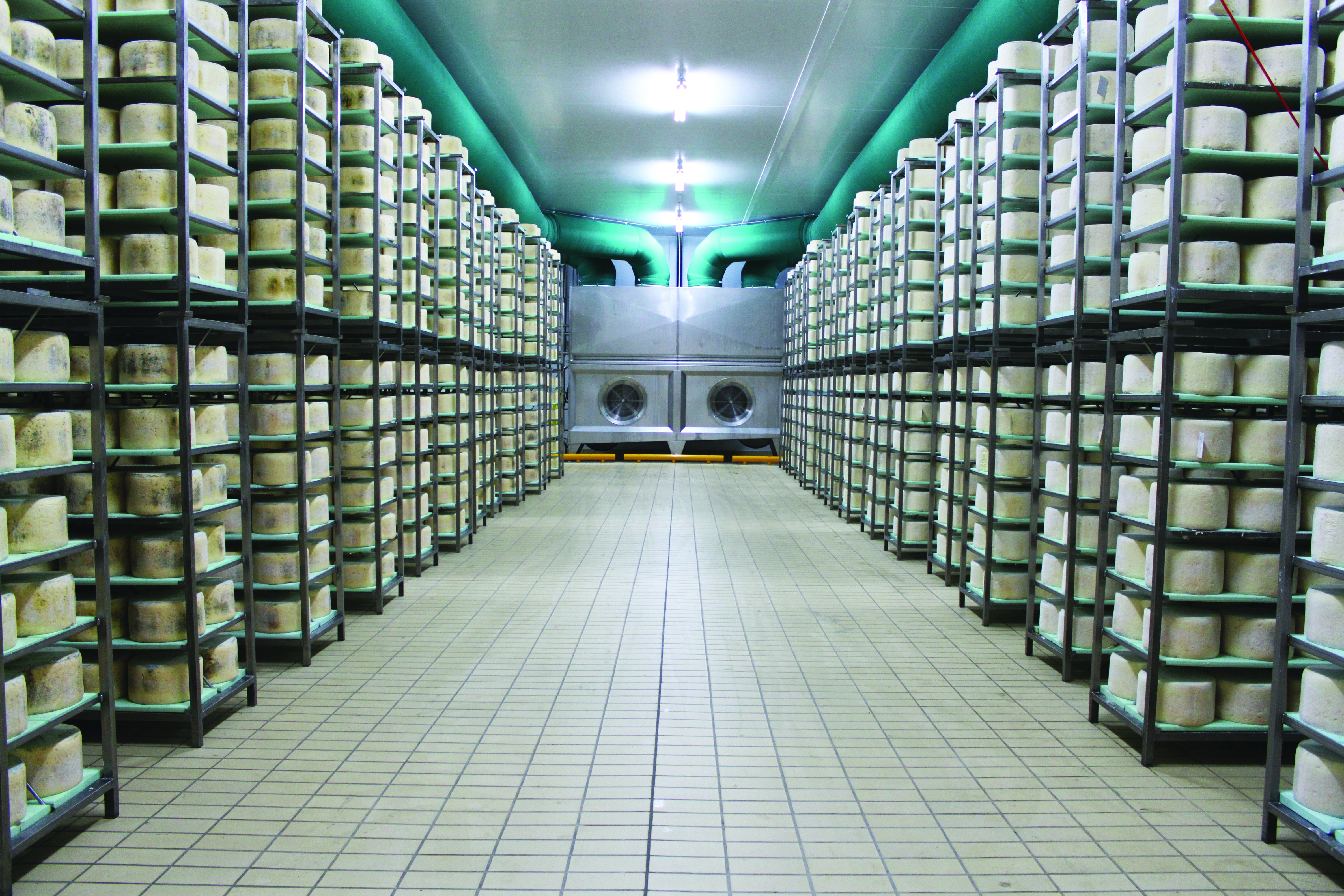 Se il gorgonzola traina l’economia novarese