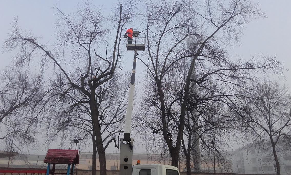 Potature a Novara: dopo le scuole interventi su strade e parchi