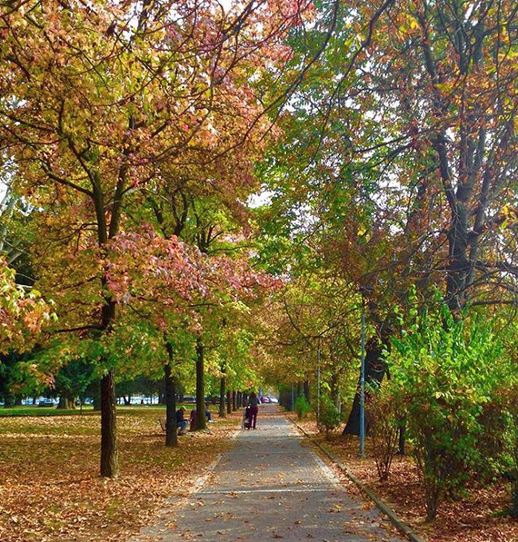 Novara, Giornate di Primavera Fai, verde e natura al centro