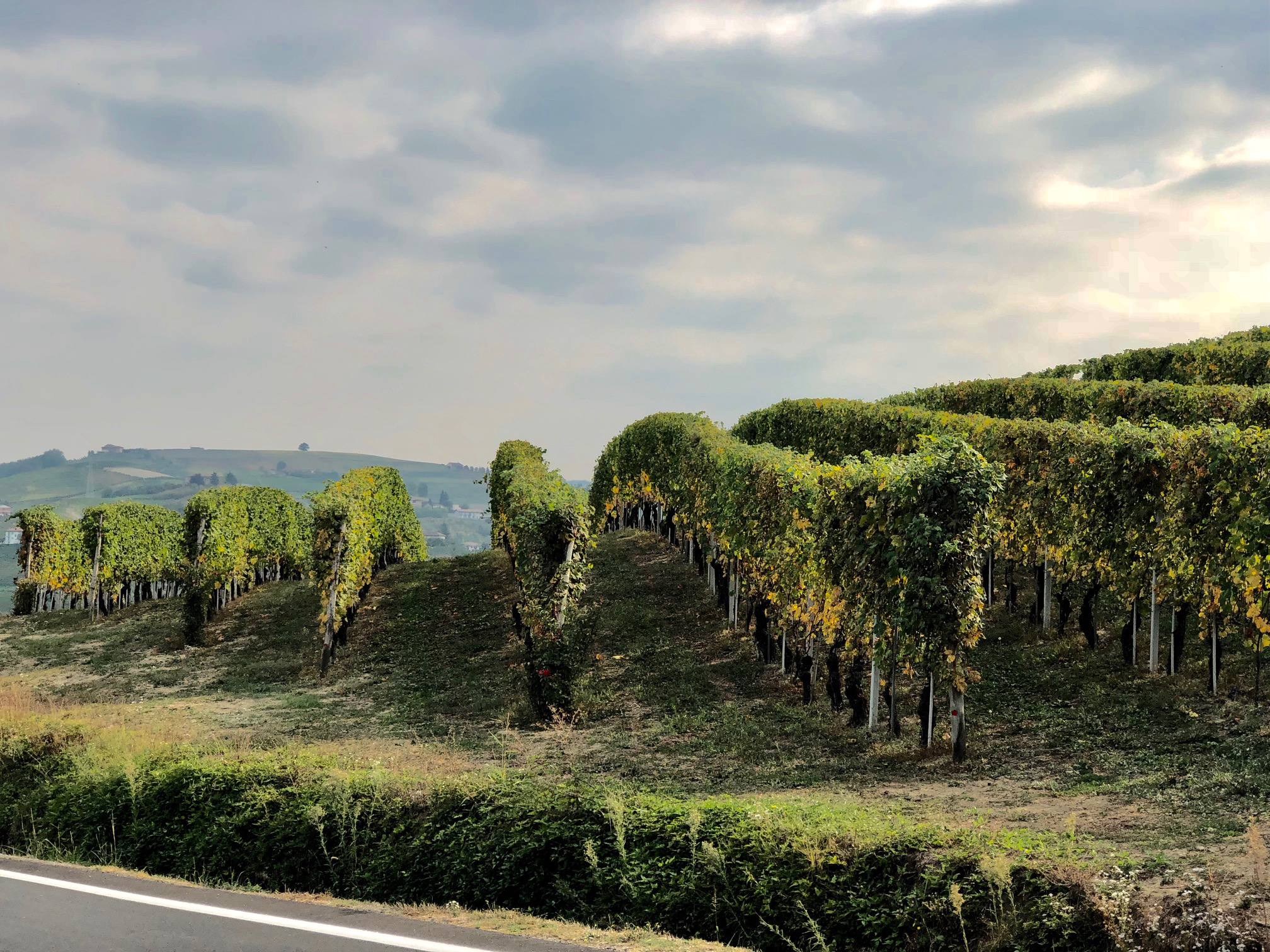 Taste Alto Piemonte al Castello di Novara questo week end