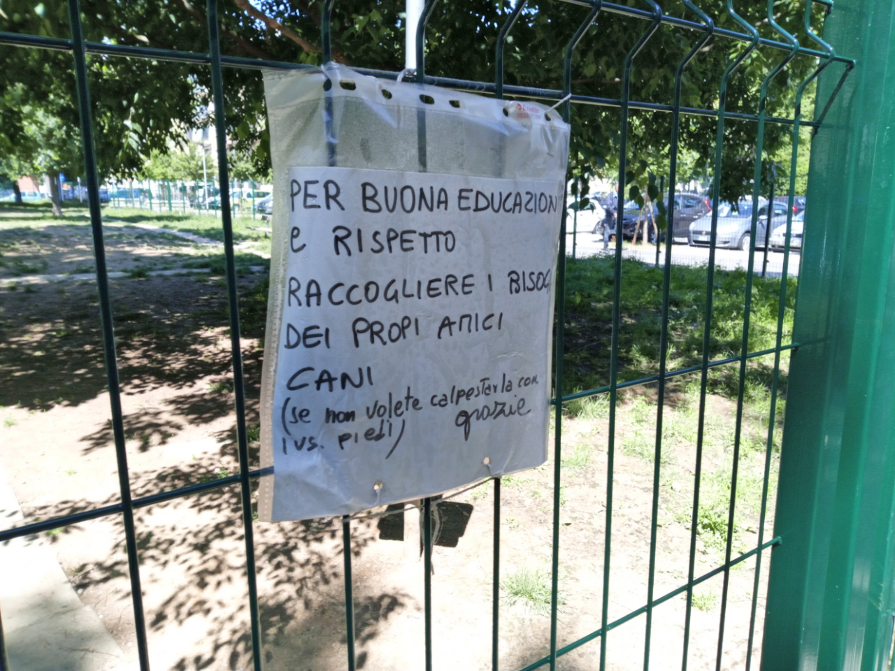 Novara ama i cani ma non sempre la buona educazione