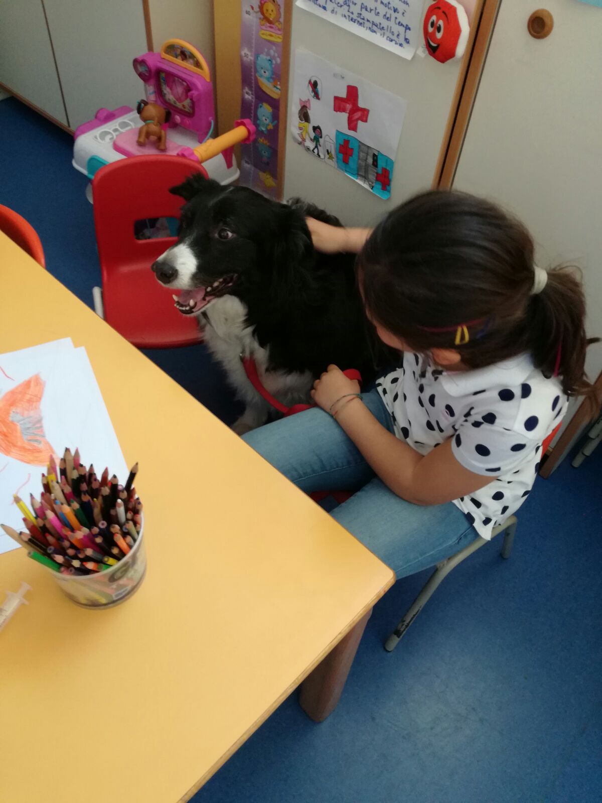 “Amico a quattro zampe in ospedale”, il progetto si amplia