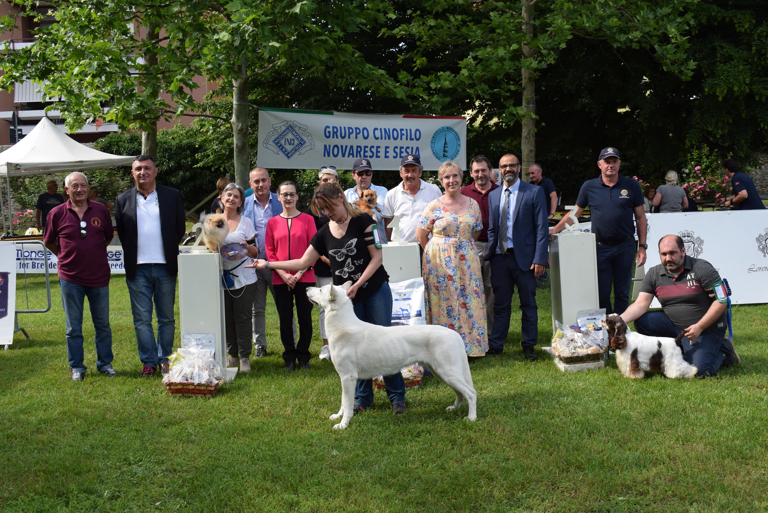 Bruce, pastore svizzero, vince il 4° trofeo regionale di cinofilia targato Lions Club Borgomanero Host ”