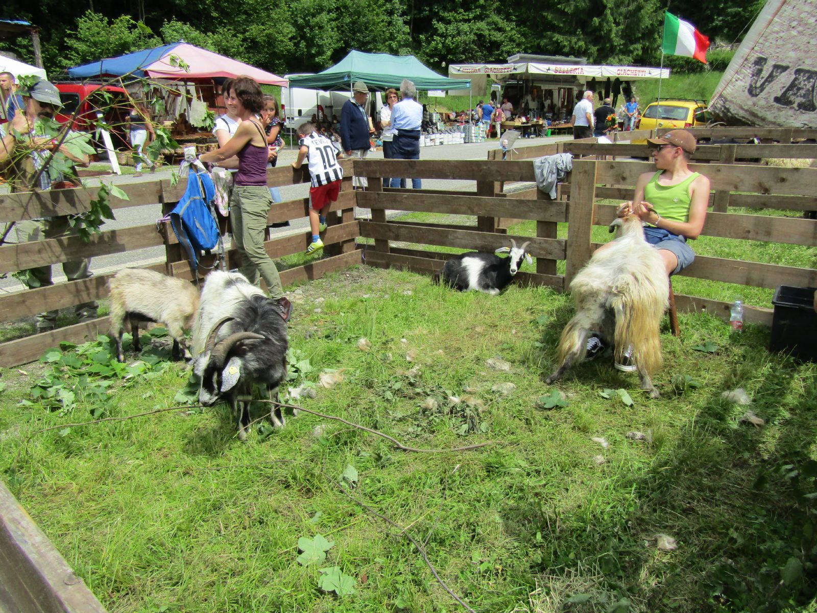 Gran successo per la fiera della Val Pitta