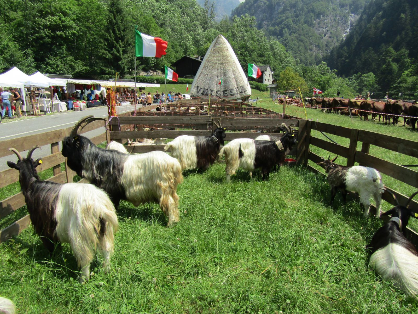 Domenica la fiera della Val Pitta a Rimasco