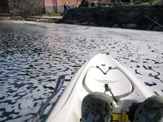 Lago d’Orta – La lotta all’inquinamento si fa ancora più determinata