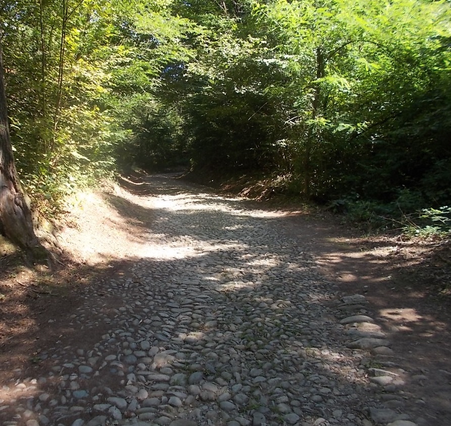 Pavé pronto ad accogliere le “Piccole Roubaix” a Borgomanero