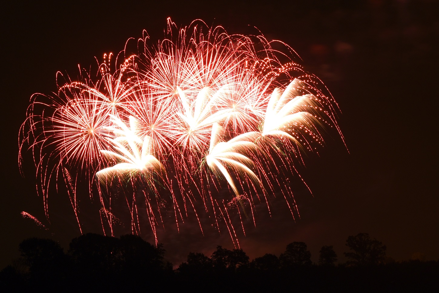 Fontaneto d’Agogna Il programma delle feste di sant’Alessandro