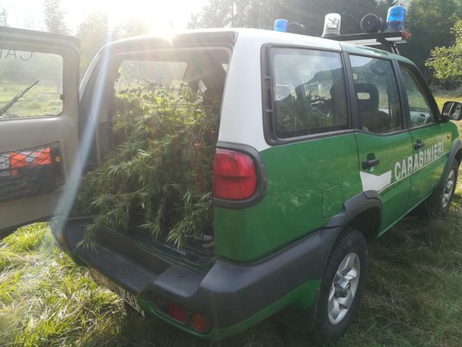 San Maurizio d’Opaglio: ristoratore brucia rifiuti, denunciato dai Carabinieri Forestale