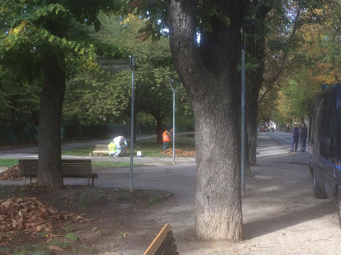 Interventi sull’Allea di Novara: sostituite le panchine, sistemata la staccionata e pulizia dei vialetti