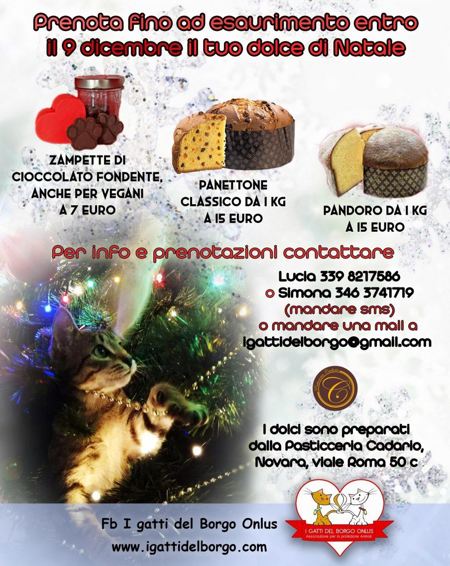 Raccolta fondi per “I gatti del Borgo”