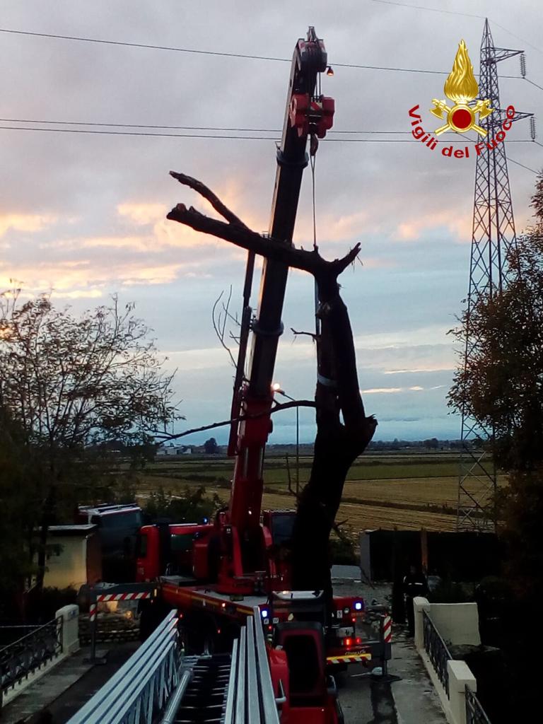 Alcuni alberi ostruiscono l’Agogna, intervengono i vigili del fuoco