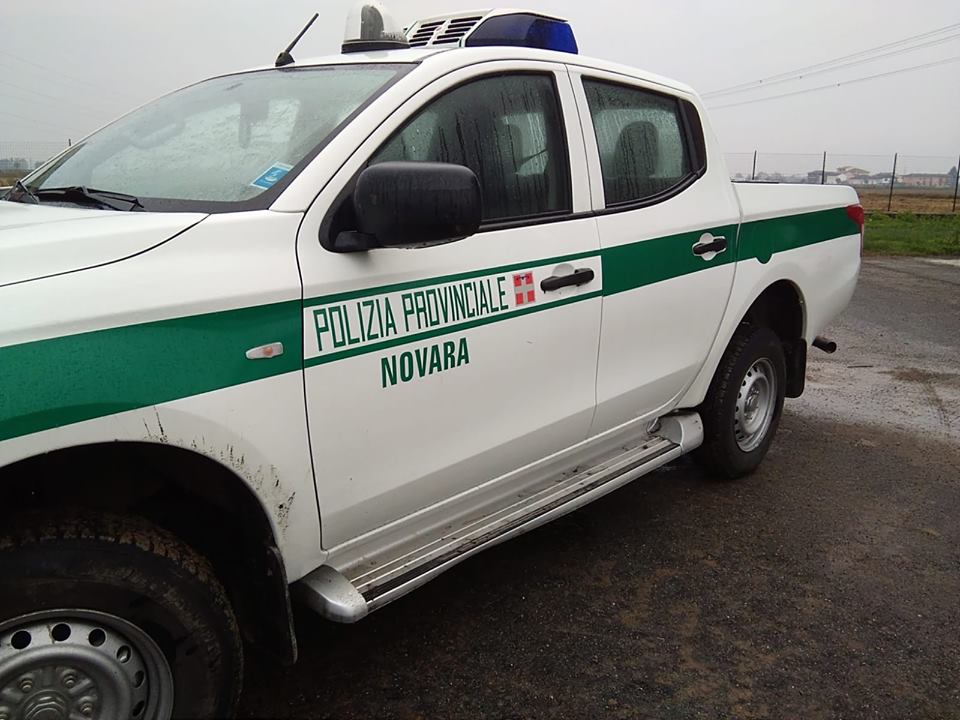 Gargallo: la Polizia Provinciale sequestra una discarica abusiva
