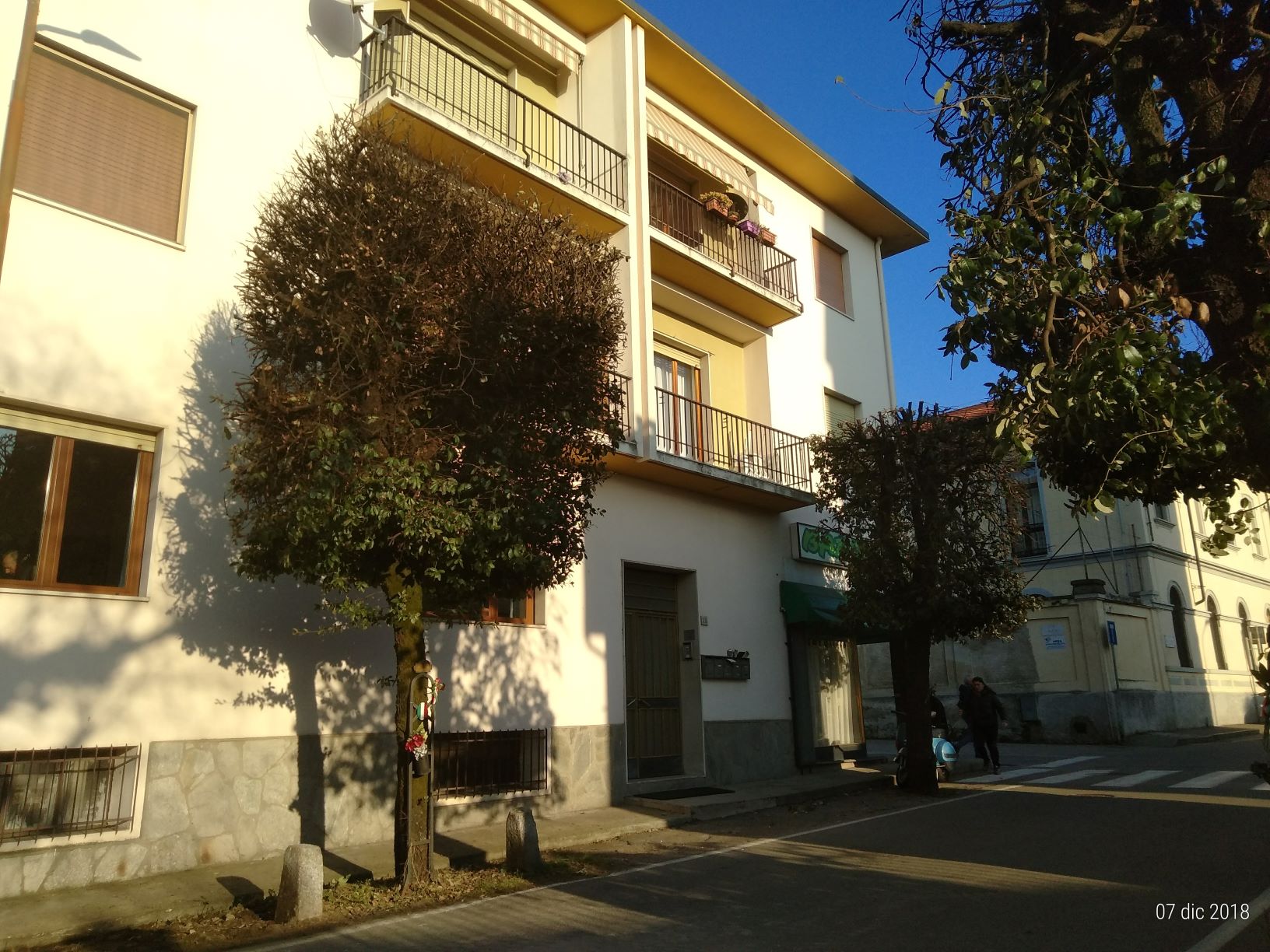 A Intra potati gli alberi in via Franzosini