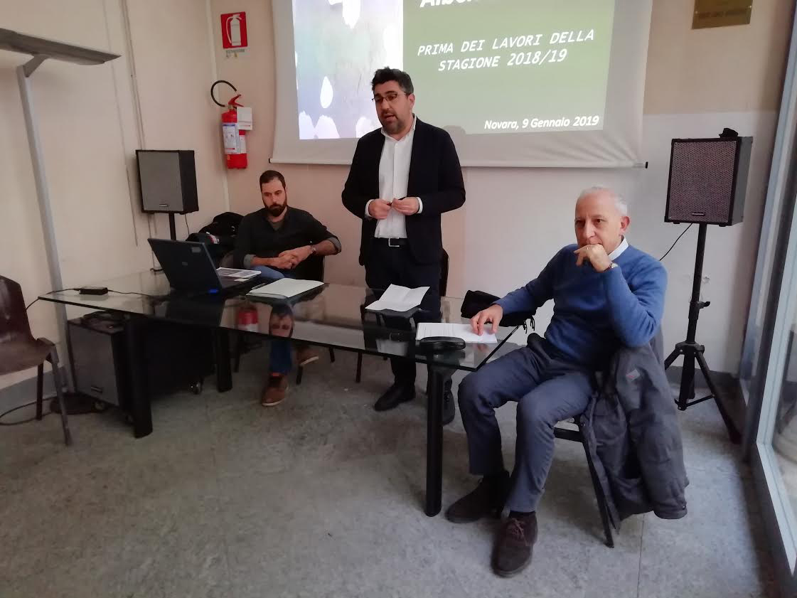 Novara, 200mila euro per la manutenzione delle alberate