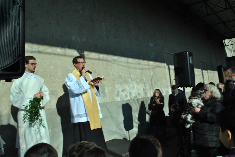 Borgomanero  La festa di sant’Antonio con animali di tutte le fogge
