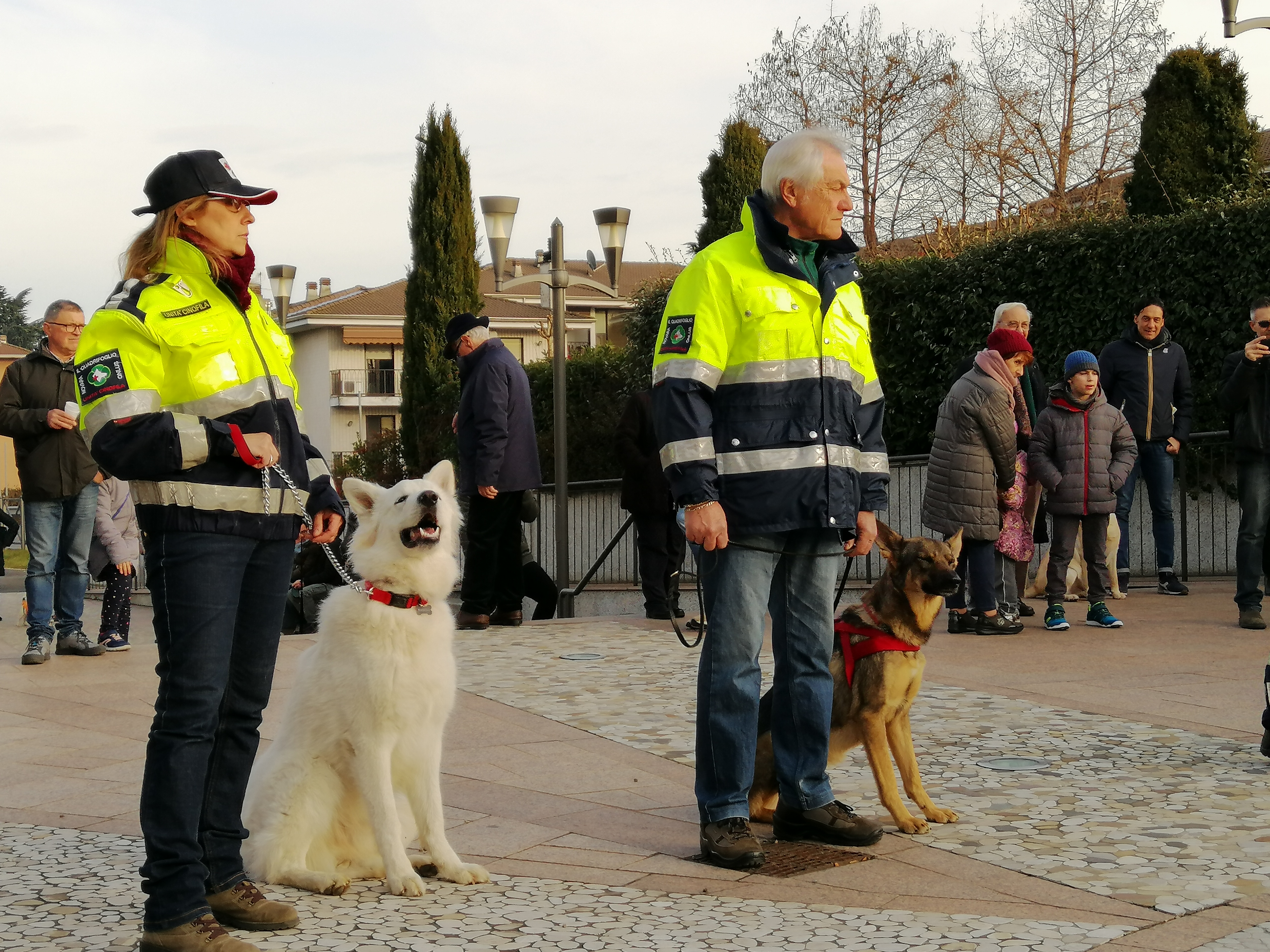 Novara: in tanti alla tradizionale benedizione degli animali alla Madonna del Bosco