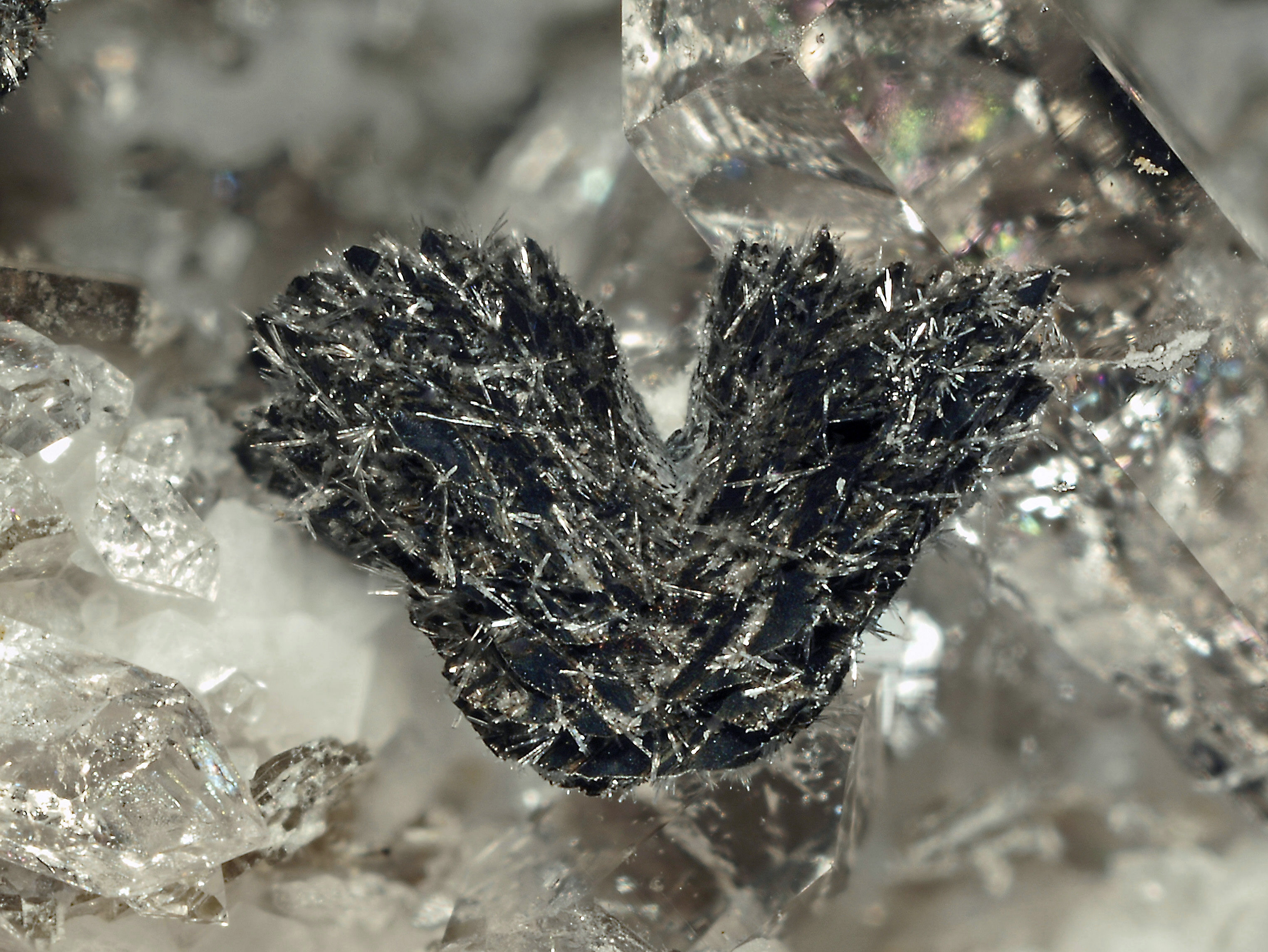 La “Deveroite” nuovo minerale rinvenuto sul Cervandone