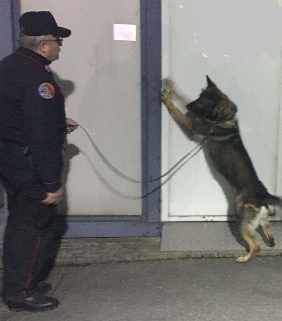Tre arresti tra Novara e Ovest Ticino: per droga e per truffa