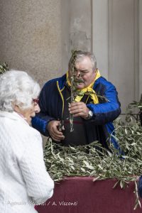 La Domenica delle Palme in Duomo a Novara con il Vescovo Franco Giulio Brambilla