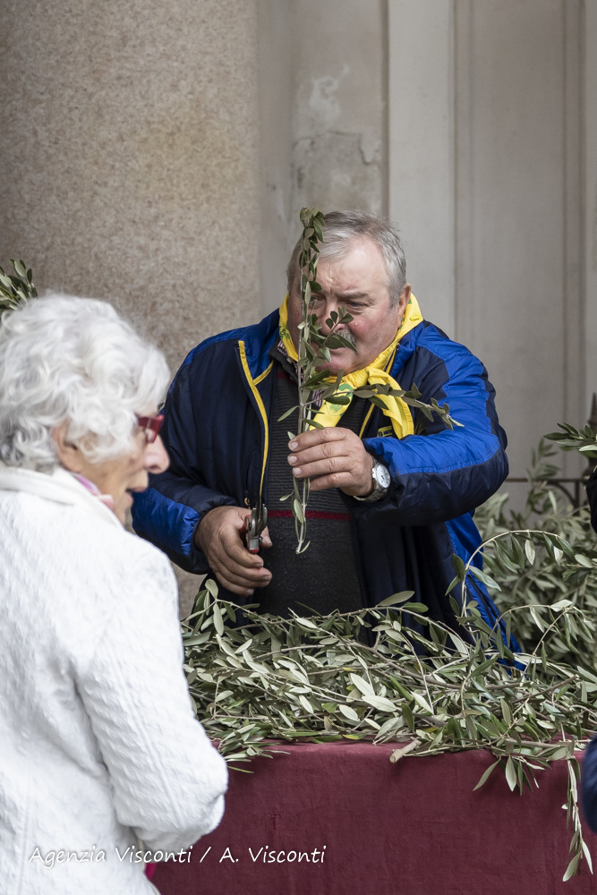 La Domenica delle Palme in Duomo a Novara con il Vescovo Franco Giulio Brambilla