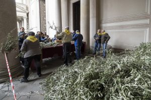 La Domenica delle Palme in Duomo a Novara con il Vescovo Franco Giulio Brambilla