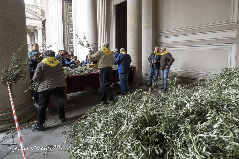 La Domenica delle Palme in Duomo a Novara con il Vescovo Franco Giulio Brambilla