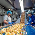L'impianto di produzione dei sottaceti