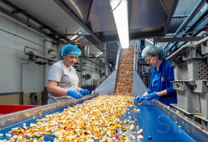 L'impianto di produzione dei sottaceti