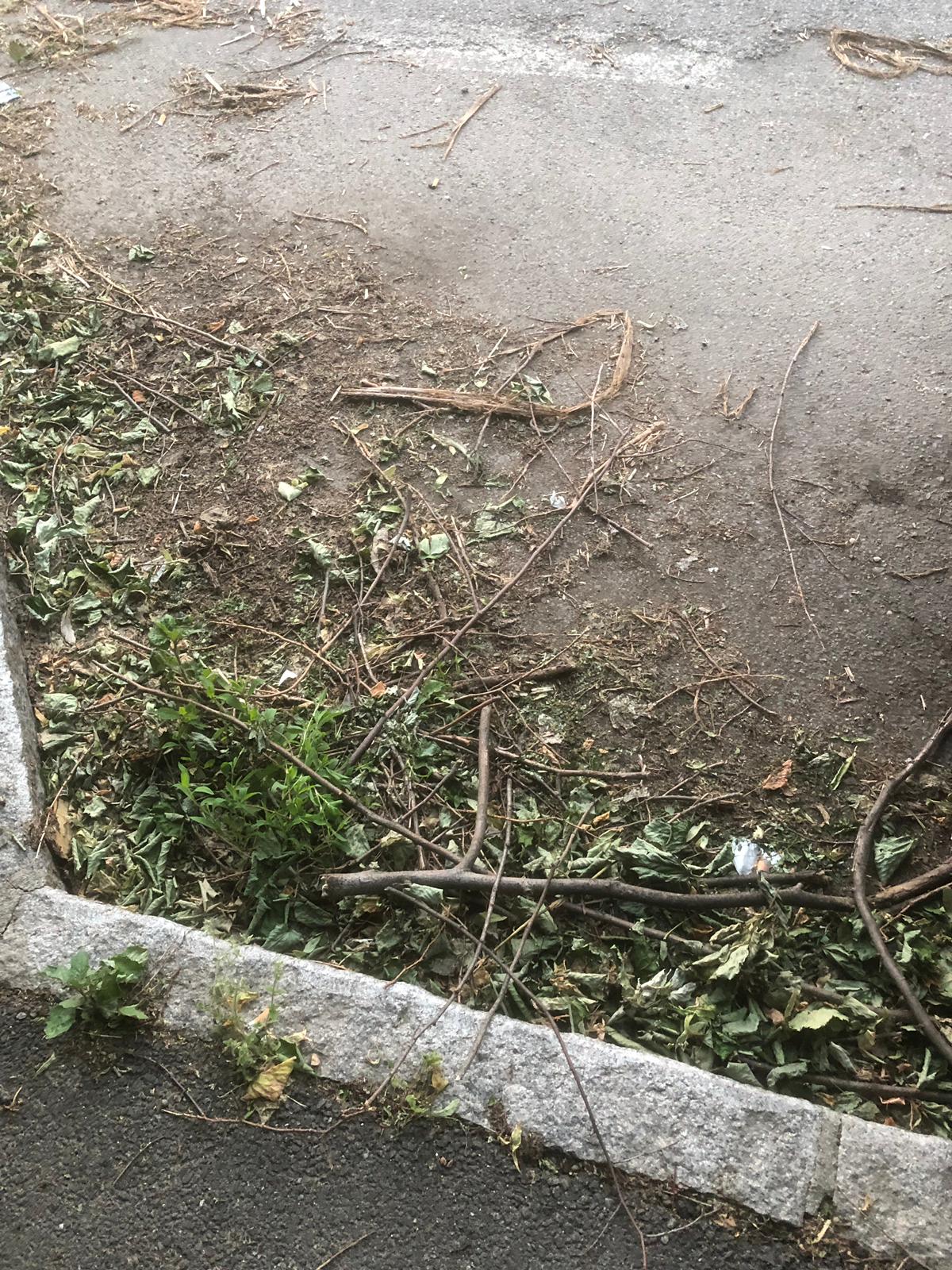 Bicocca e Quartiere Nord: «Sicurezza e cura del verde»