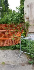 Bicocca e Quartiere Nord: «Sicurezza e cura del verde»