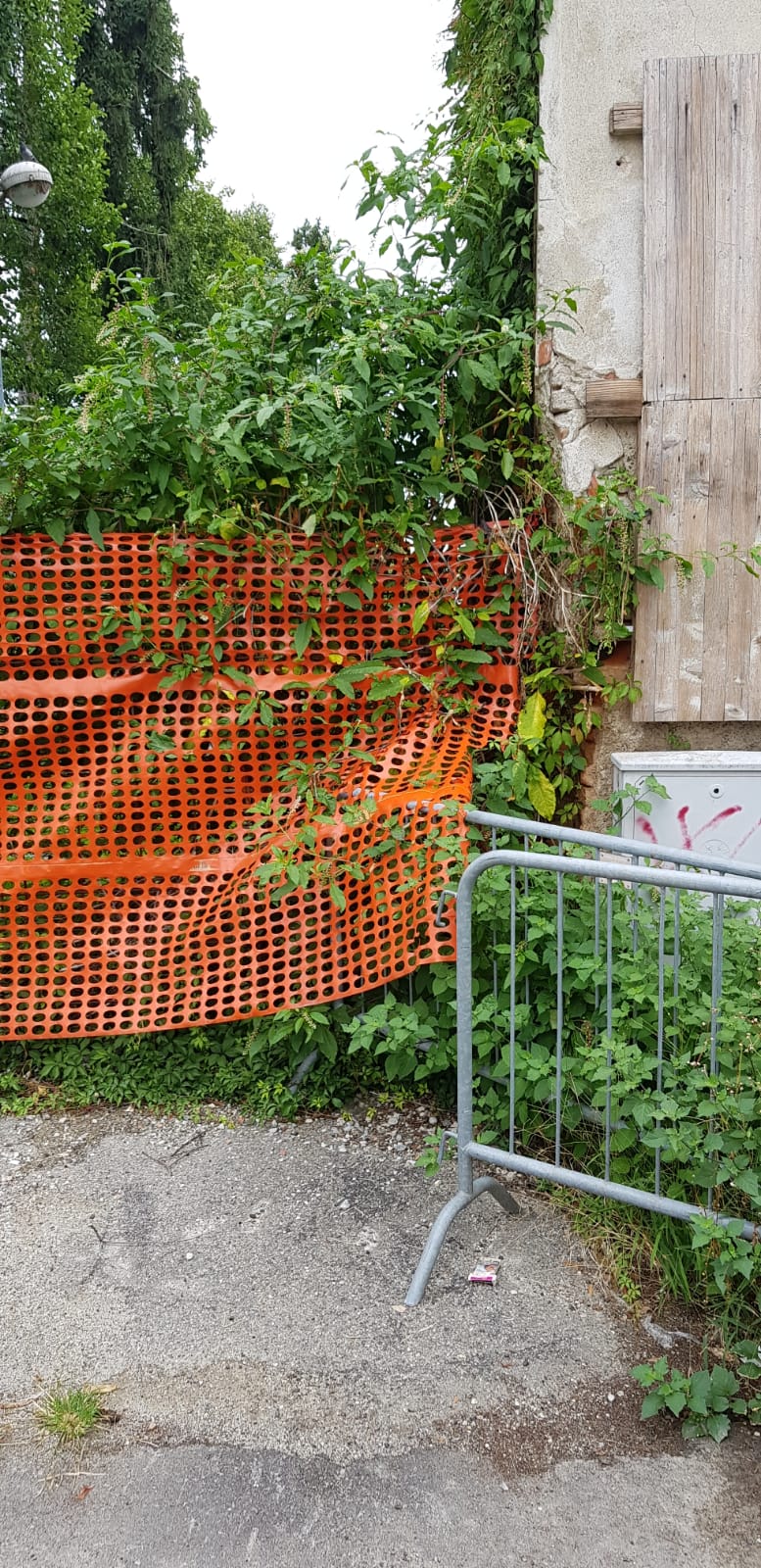 Bicocca e Quartiere Nord: «Sicurezza e cura del verde»