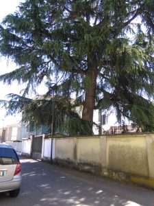 Bicocca e Quartiere Nord: «Sicurezza e cura del verde»