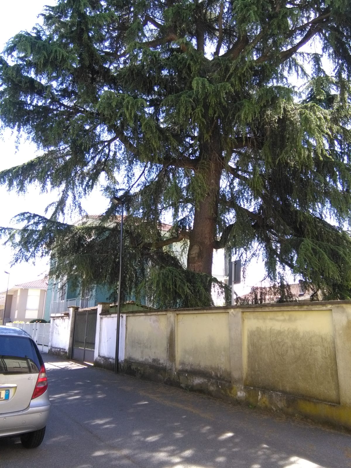 Bicocca e Quartiere Nord: «Sicurezza e cura del verde»